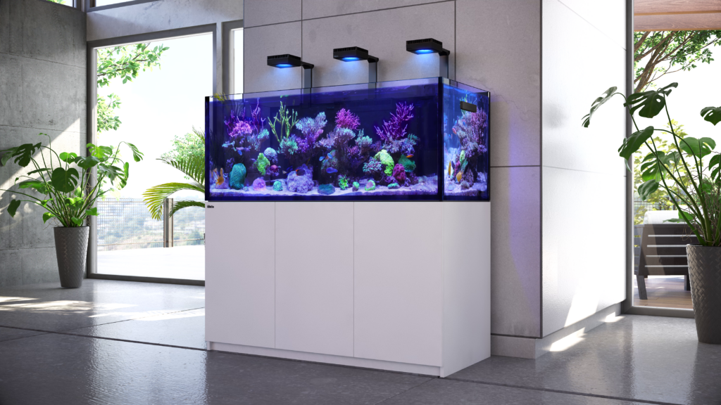 Red Sea Aquarium :Prices, Setup |Where Are Red Sea Aquariums Made?
